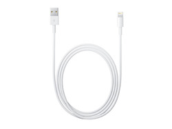 Apple Lightning to USB